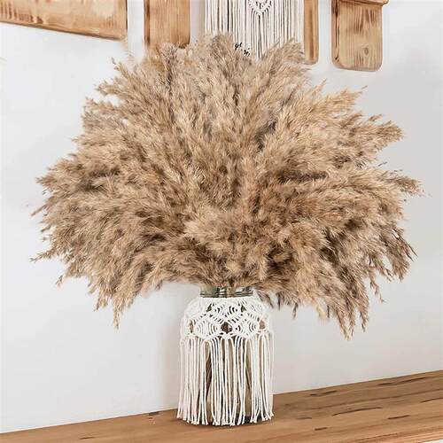 30pcs Natural Pampas Grass Bouquet Dried Flowers Real Reed W