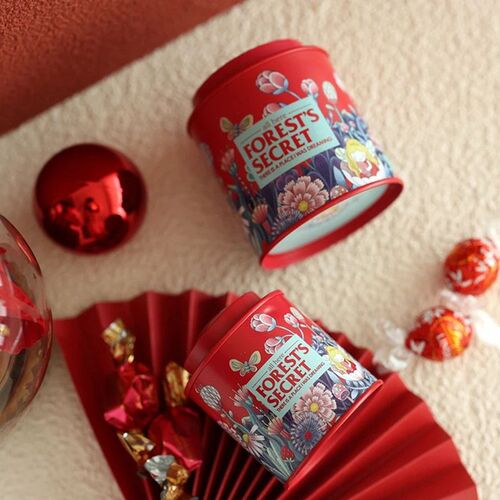 Cartoon Garden Rabbit Suitcase Storage Tin Candy Cookie Box