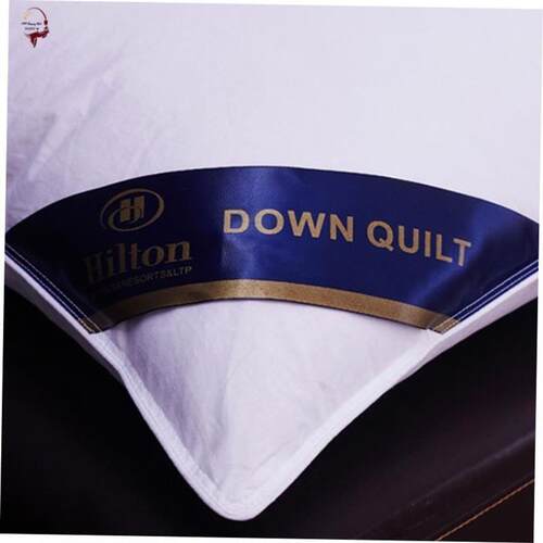 Pillow Healthy pillows feather velvet hotel pillow for bed