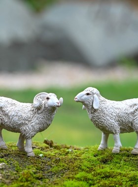 仿真绵羊摆件微景观动物小羊园艺造景DIY材料盆景饰品树脂工艺品