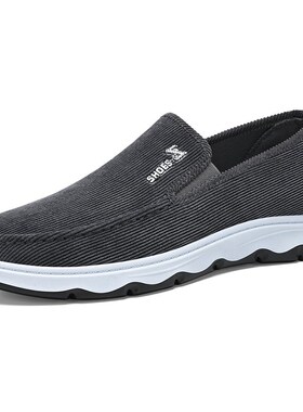 2025 Spring Mens Shoes Casual Canvas Shoes Slipon Daddy Shoe