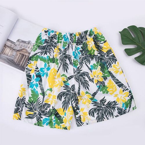 Summer Mens Board Shorts Print Swimwear Swimsuits Surf Board