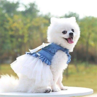 Decorating  Stylish Summer Dog Two-legged Clothes Pullover