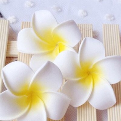 6Pcs Plumeria Flower Hair Clips for Women Girls Hairpins Egg