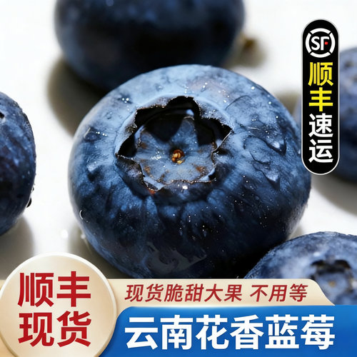 云南新鲜蓝莓20mm-22mm+头茬宝宝孕妇当季水果顺丰包邮内附果径卡
