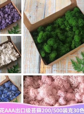 永生花装饰苔藓墙长生花diy材料包保鲜花盒装干花绿植背景墙