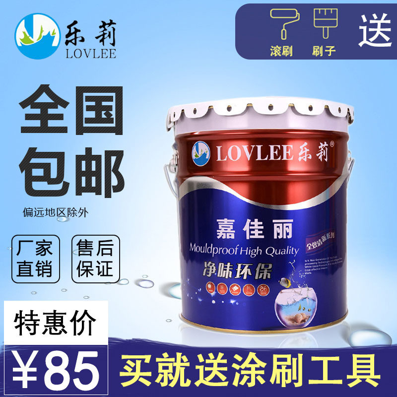 白色20kg环保内墙乳胶漆 墙漆家用彩色室内自刷刷墙面漆油漆涂料