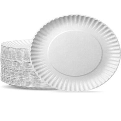 9 Inch Disposable Plates Paper Plates Alternative Compostabl