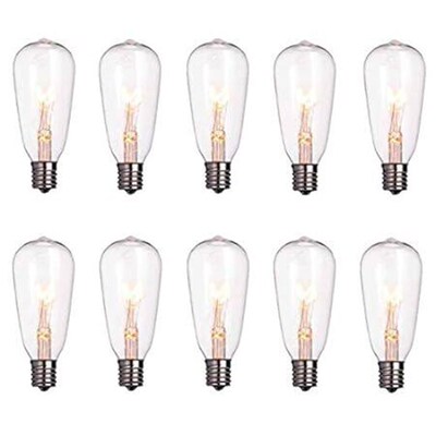 Romasaty 10-Pack Edison Light Bulbs ST40 Clear Replacemen