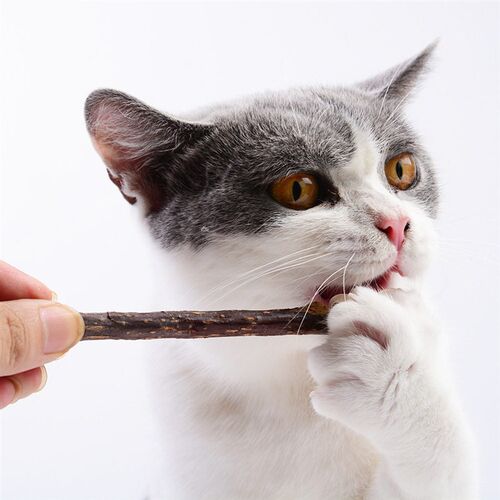 Hot Pure Natural Catnip Pet Cat Toy Suit Safety Molar Toothp