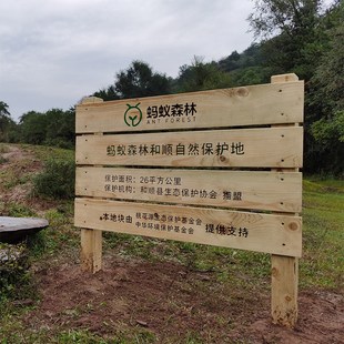 定制蚂蚁森林林号防腐木宣传栏指引牌露营地导向牌标识花草警示牌