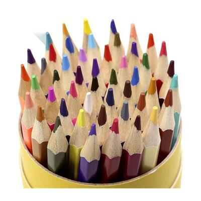 colour pencil painting students use 48 colour pencils with a