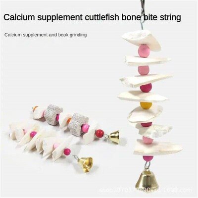 Cuttlefish Bone Skewers Full Of Nutrition Natural And Fun