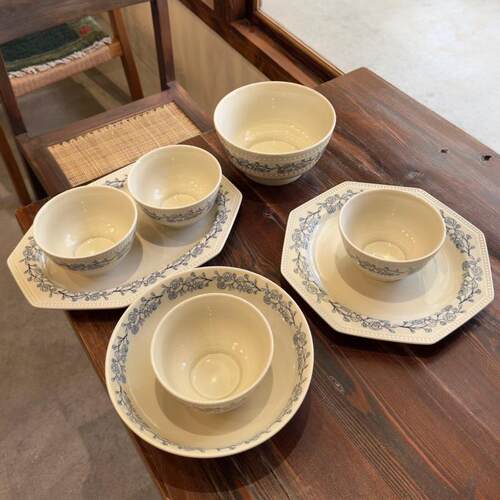 French Vintage Rose Dinnerware Ceramic Bowls Plates Set