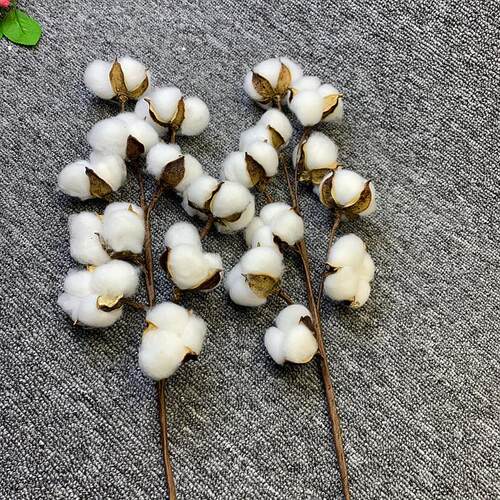 Decorative Dried Cotton Flowers Gypsophila White Home Orname