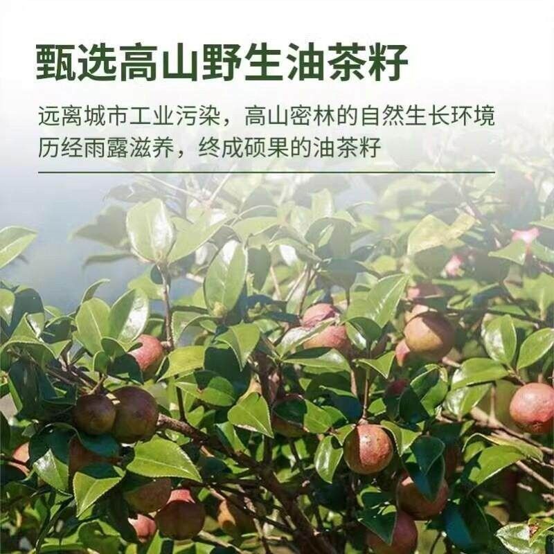 正宗山山茶油籽食用油一级压榨茶BGY物油无添加烹饪山茶花植油正
