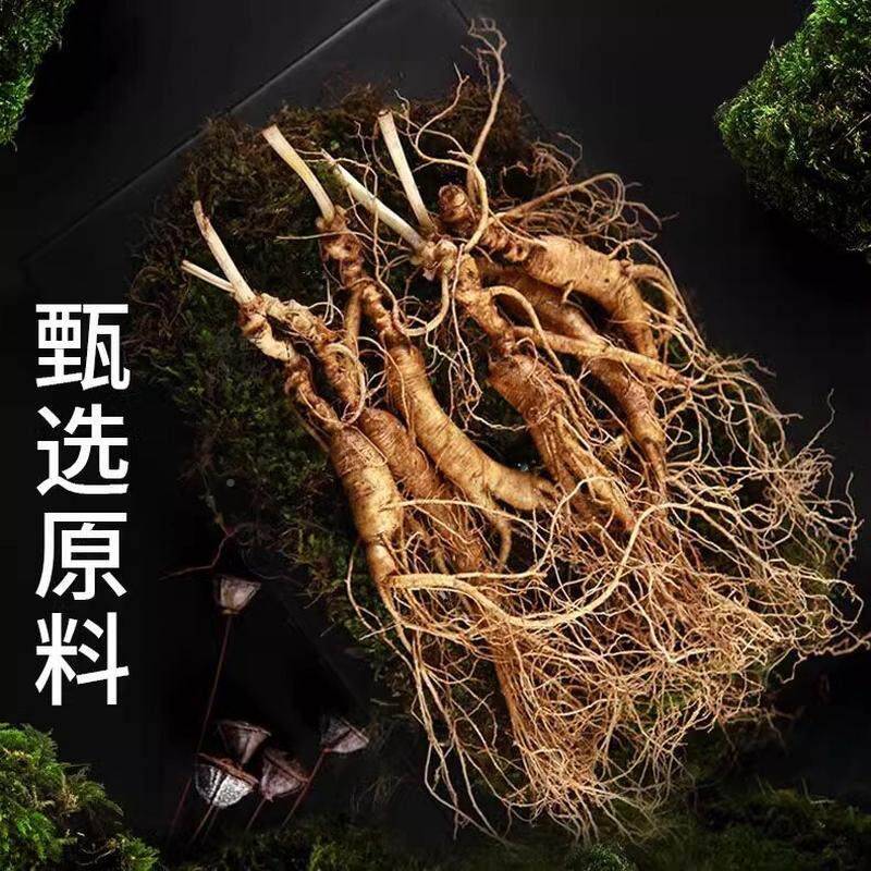 筋通舒手脚YIC筋腿抽人抽参女黄精筋甘草片手足麻木男通用