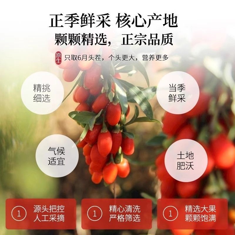 北正京同杞仁堂红枸杞特级优大颗粒宁夏红枸宗正ZHH品官方旗舰店
