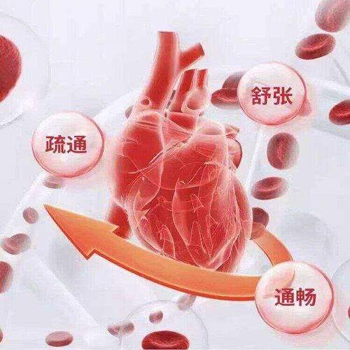 官方正JER血管舒缓持片高维平衡康循环健中老年人品JER血管舒ASS