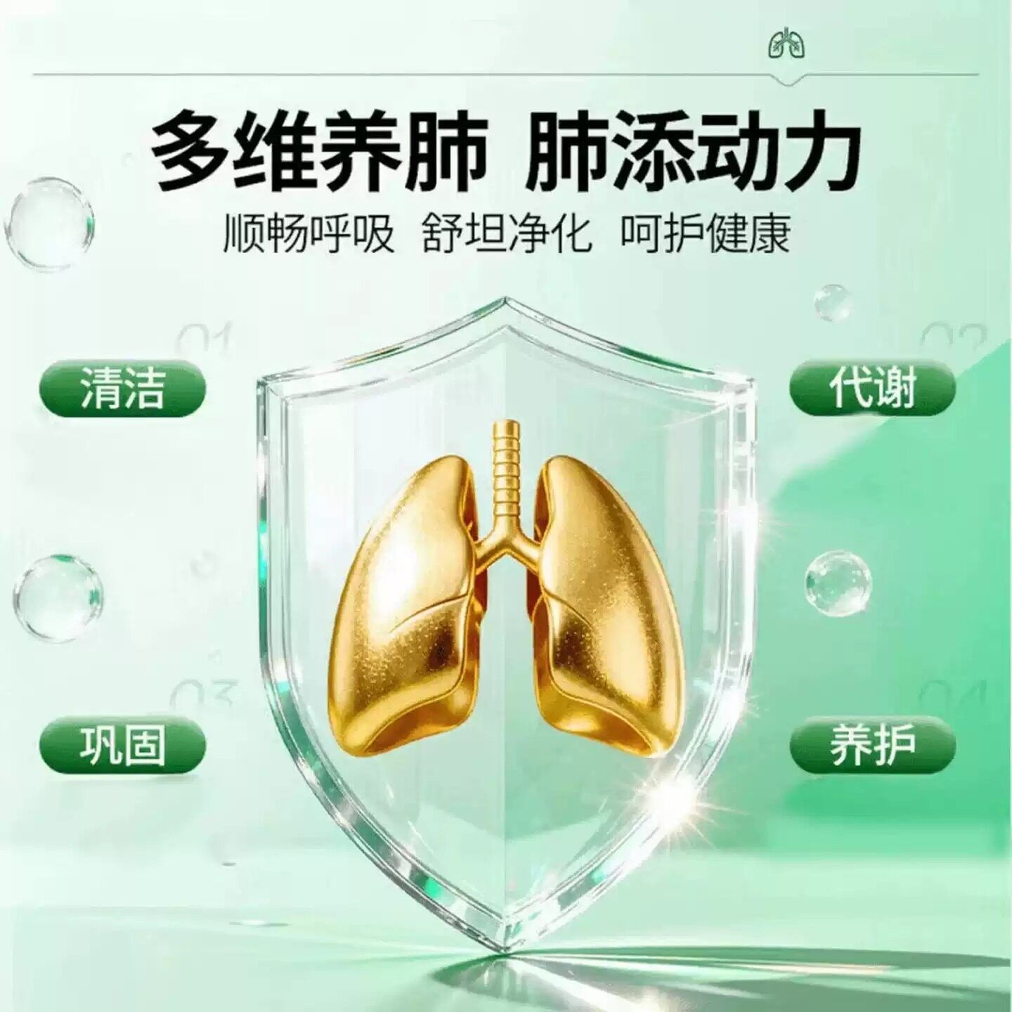 康斯林胺片MLR清肺胶囊清润肺养肺萃洁健康节肺部畅新快呼吸草本