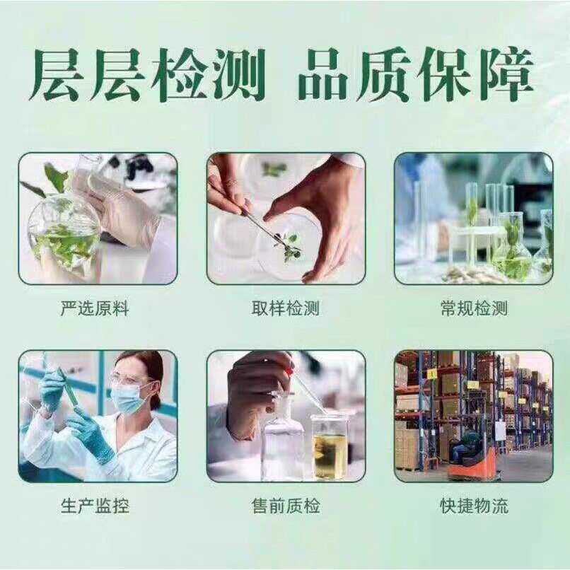 震伟/多维素槐黄芪草维生素多维守甘护肛周温和调养堂健FGY康正花