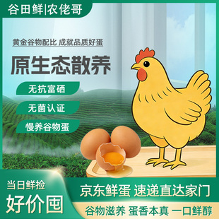 正宗农家散养鸡蛋土鸡新鲜蛋营养虫草谷物孕妇整箱批发慢养谷物蛋