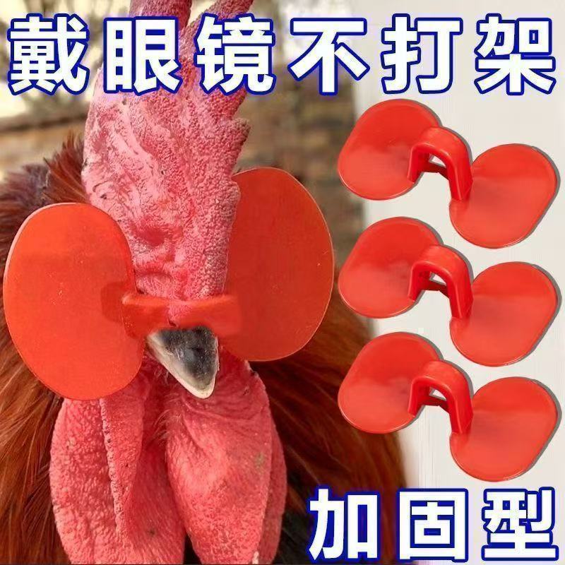 鸡眼镜养殖无栓方便防打架防啄毛防啄肛大公鸡卡式鸡戴新款鸡眼镜
