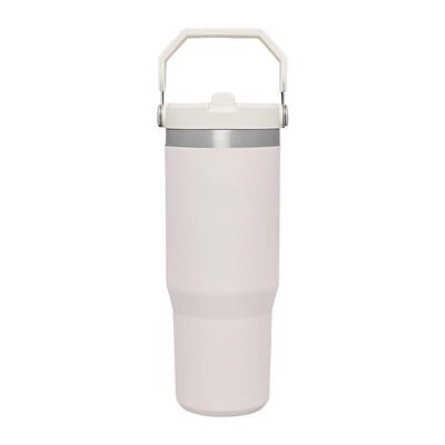 Stainless Steel Tumbler Straw Cup Ice Coffee Water Bottle