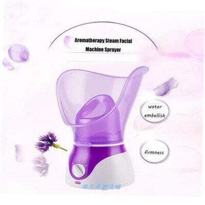 facial steam steamer hot spray steaming face instrumen蒸脸器