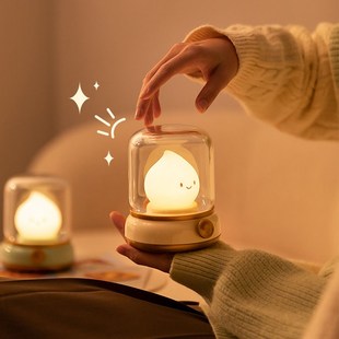 kerosene Lamp  复古煤油小夜灯 无极调光 烛光模式 延时关灯