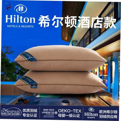 Pillow Healthy pillows feather velvet hotel pillow for bed