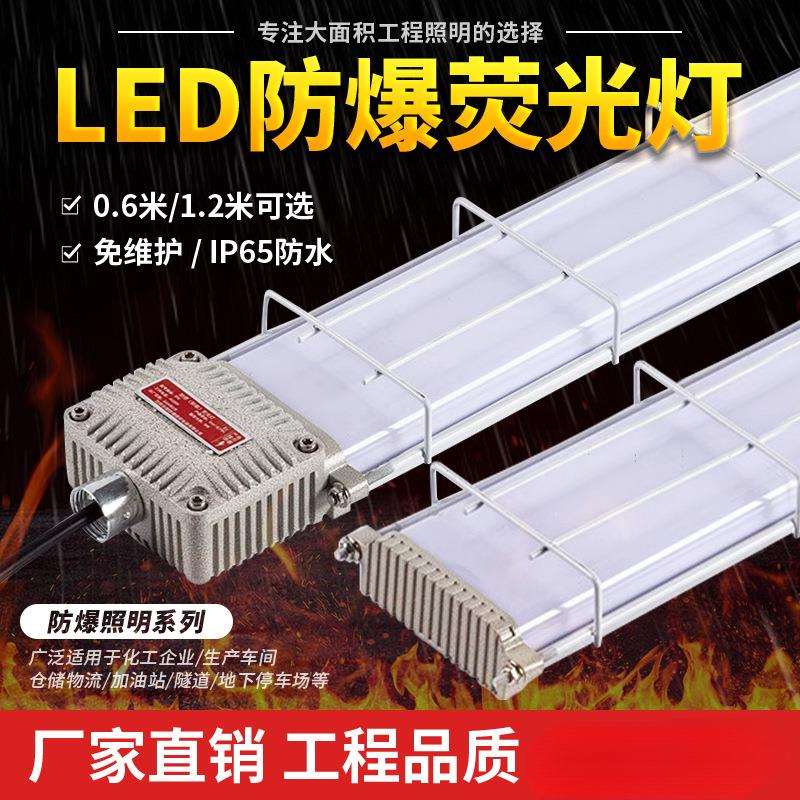 LED防爆灯荧光灯日光灯长双管车间仓库厂房防尘防腐照明