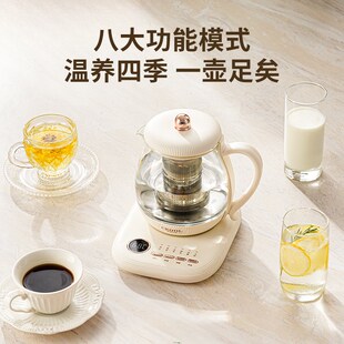 CEOOL养生壶家用多功能办公室小型迷你煮茶壶煮茶器2025新款