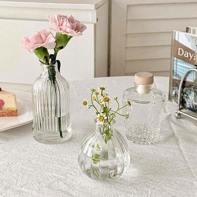 1pc Nordic Ins Style Glass Vase Vintage Vase Hydroponic Home