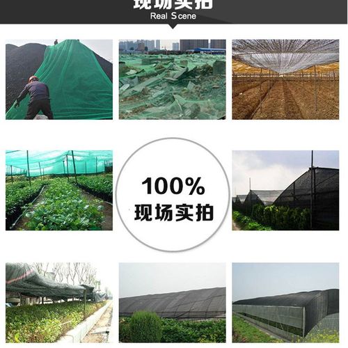 盖土网 绿化防尘工地大棚黑色遮阳网苫盖煤护坡环保检查专用
