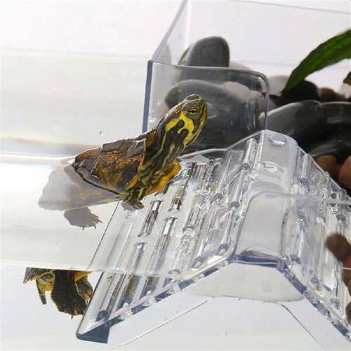 Adjustable Suspension Height Turtle Dock Basking Spot