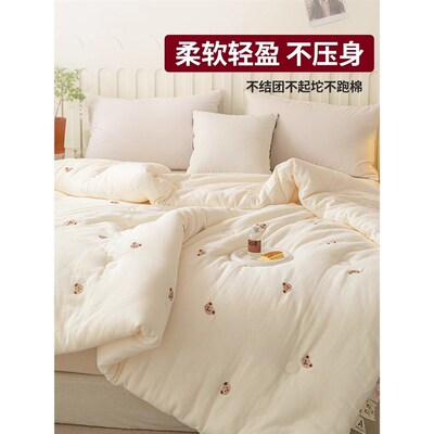 2025 summer quilt/comforter/blanket/quilts/duvet /blankets