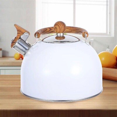 Tea Kettle Cute Water Boiling Container Enamel Stainless