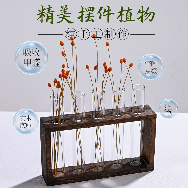 创意桌面玻璃花瓶摆件装饰品小号绿萝水培客厅插花水养小绿植器皿,家居饰品,花瓶,淘宝优惠券,粉丝福利购,淘宝优惠卷