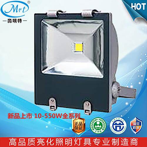 LED广场公园广告牌球场码头投射投光灯隧道泛光灯塔吊高棚灯30W