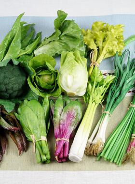 仿真蔬菜模型假生蔬菜西兰包菜心葱香菜蒜道具橱柜家居样版房装饰