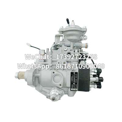 高品质油泵总成 22100-1B130 VE6/12F2000RND030 196000-0300