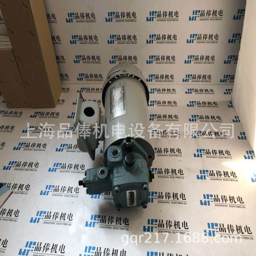 USV-0A-A2-04A-4-Y-6133F不二越NACHI泵加电机 VDS-0B-1A1-E11