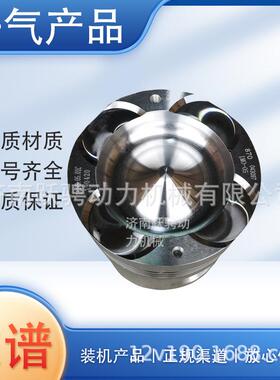 适济柴z12v190b驰动8v190 G12V190ZL1柴油机 Z12VB.05.01C活塞