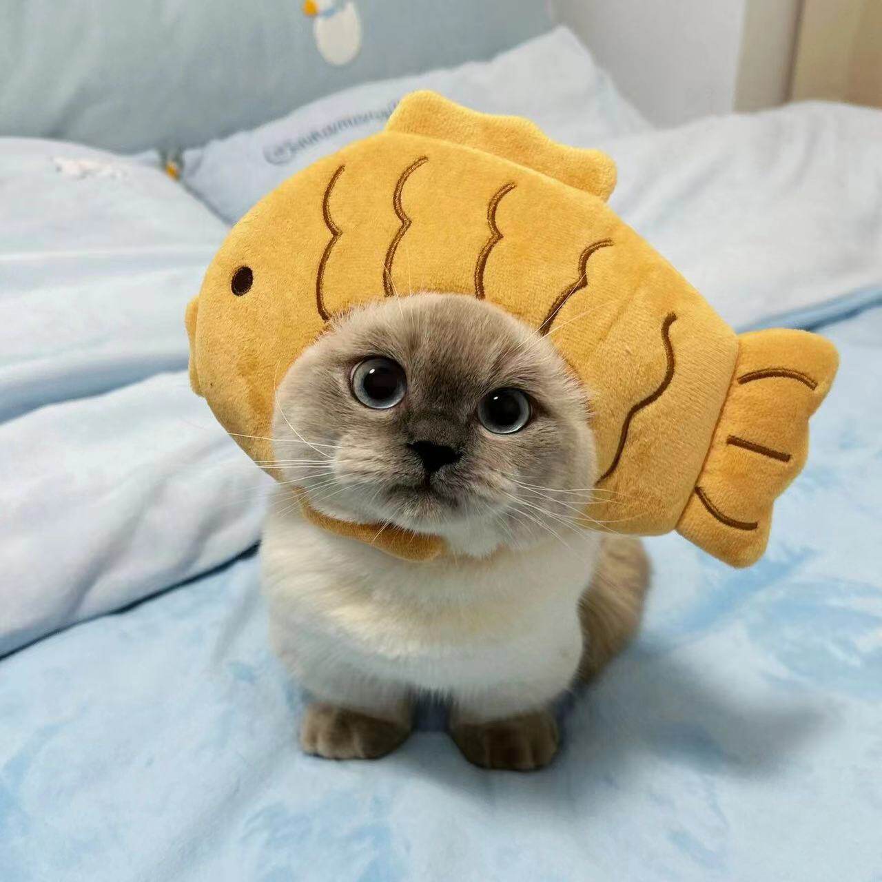 可爱毛绒公仔娃衣鲷鱼烧搞怪拍摄搞笑头套宠物狗狗猫咪头套帽子