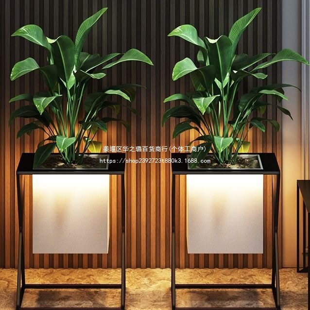 轻奢北欧简约创意花盆架室内个性花架客厅摆件落地立体网红大装饰