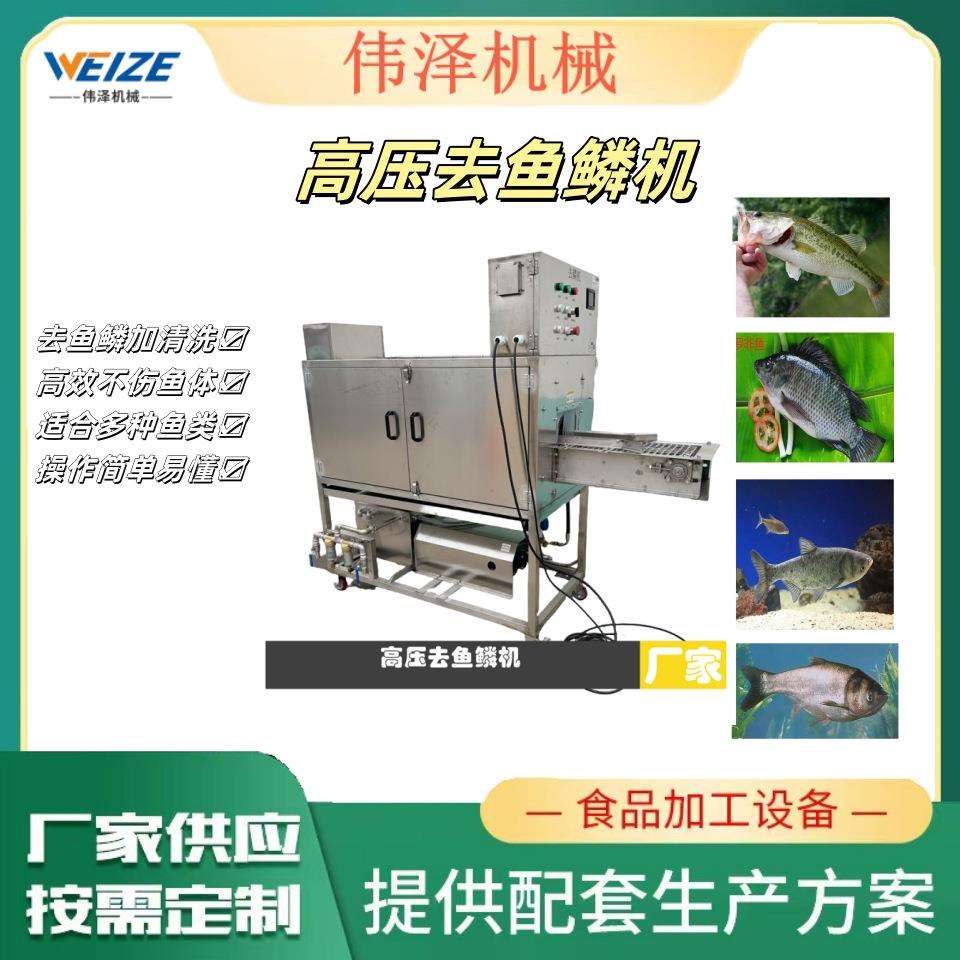 高压水去鱼鳞机 黄花鱼 鲈鱼 鮸鱼脱鱼鳞机器 效果好不伤皮