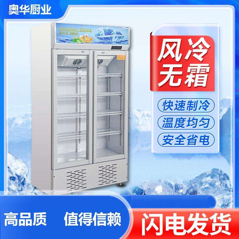 饮料展示柜冷藏保鲜冰柜大容量双开门超市立式单门啤酒冰箱