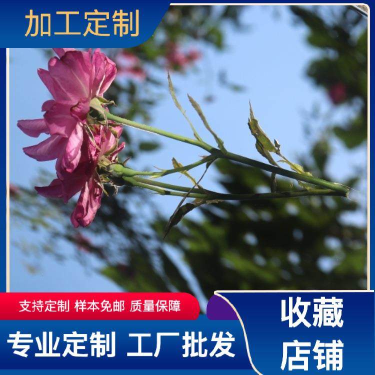 热销现货SUS304单双镜面8K10K12K板 SUS316L不锈钢镜面板规格齐全,鲜花速递/花卉仿真/绿植园艺,割草机/草坪机,淘宝优惠券,粉丝福利购,淘宝优惠卷