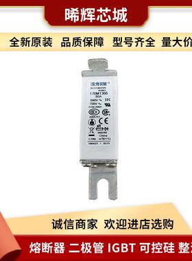 170M1367 170M1368 直流熔断器 型号齐全 标准封装量大从优现货